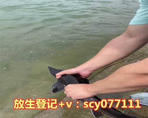 2023年正月放生吉日，2023年1月合帐黄道吉日2023年1月哪天适合合帐