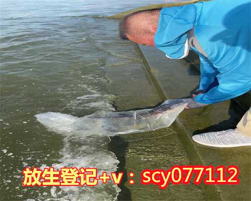 海口哪里放生会比较好，药店员工药柜中发现毒蛇海口消防捕获放生