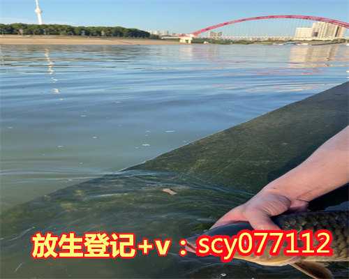 武汉放生园放生牛蛙，这十支国家紧急医学救援队驰援武汉