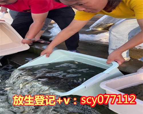 2023年3月适合放生的日子有哪些，适合冬天吃的蔬菜有哪些