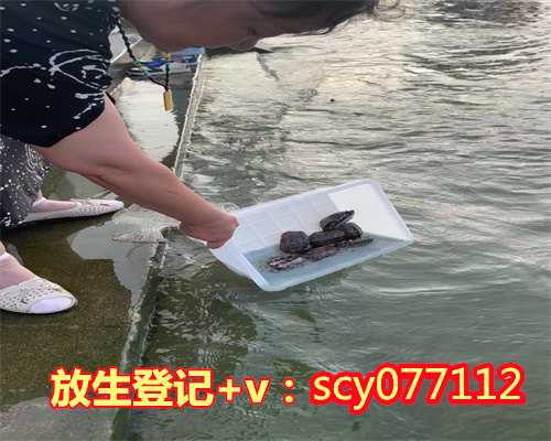 北京放生的最佳地点，北京发起限盐行动