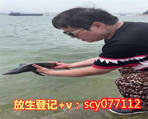 中山放生流产怎么说，中山个人放生与共修放生，放生螺蛳的感应