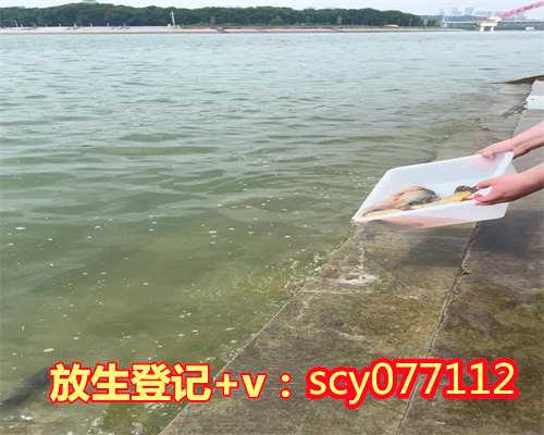 放生哪个时间最好最吉利，最吉利的字有哪些2