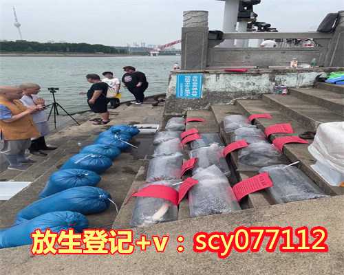 重庆放生鱼在哪买，家传辣椒油（重庆油辣子）