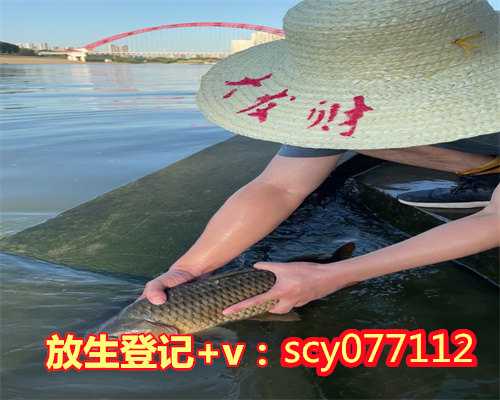 居士放生仪轨拉萨道教谈放生【自己过生日放生好吗】