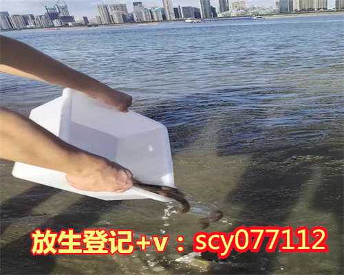 生日放生的句子，简单唯美古风生日祝福句子