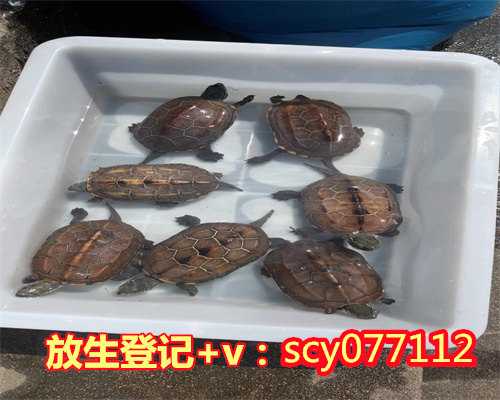 放生适合放什么鱼好，双鱼女适合什么工作2