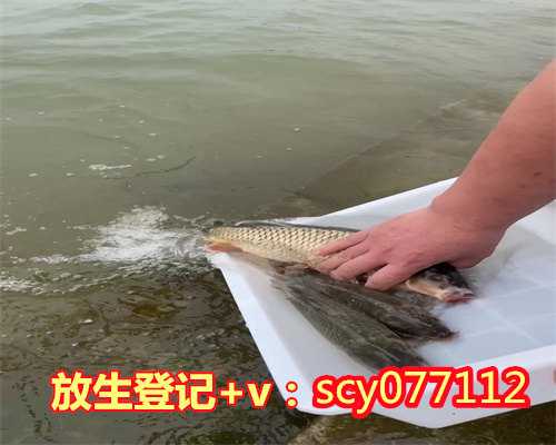 5月份哪天适合放生，5月份出生是什么星座？