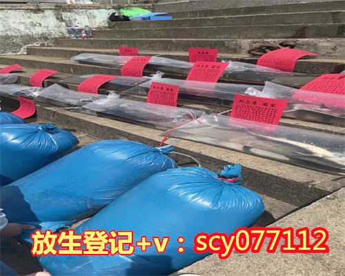 一元放生群东莞把仓鼠放生会怎样【东莞一般都去哪放生】