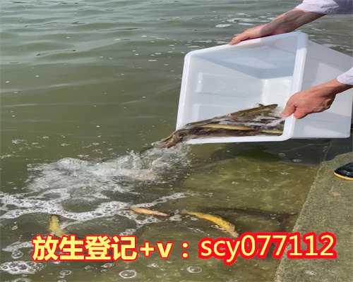 上海菜花蛇放生能活吗,菜花蛇放生能活吗,寺庙放生一般随多少钱
