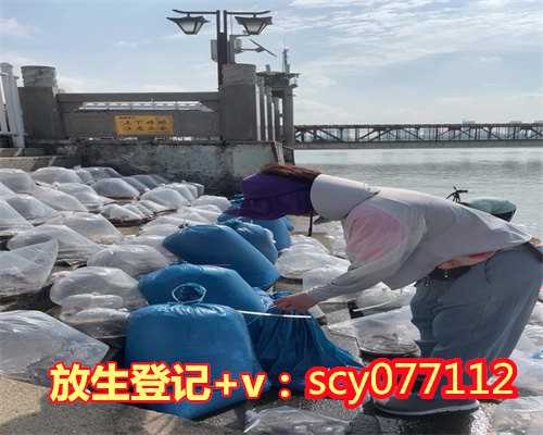 放生甲鱼有什么说法吗视频，放生鱼有感应吗