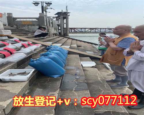 你的鱼可以放生吗林北，我和老婆都属羊可以养龙鱼吗？有什么忌讳吗？