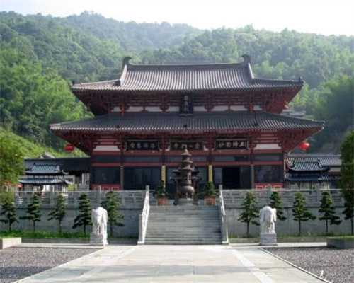 羡慕！探索宠物市场的神奇乌龟世界：你不知道的龟类及其养护技巧