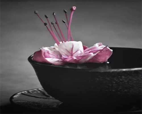 感愤！钓鱼狂热爱：2018.8.4夜钓攻略大放送