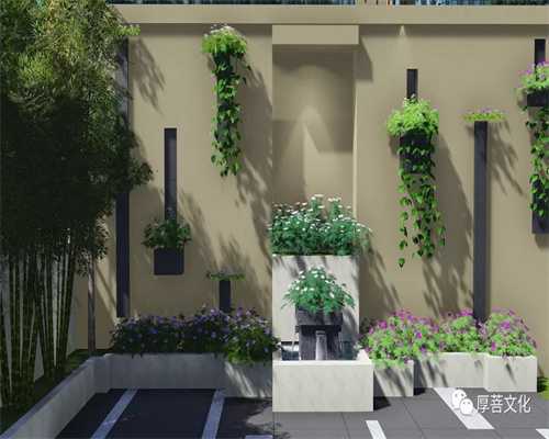 破防！说说“禅”姓