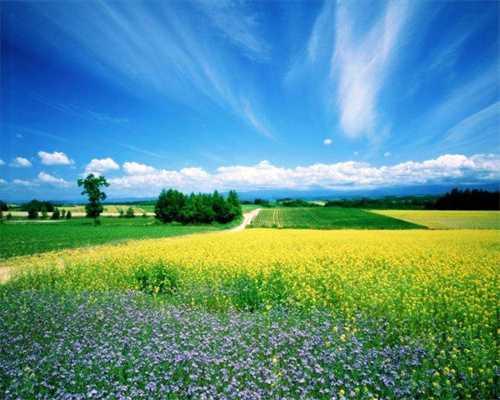 欢畅！揭秘小李子面相：面相分析揭秘，谢娜和张杰的面相如何？