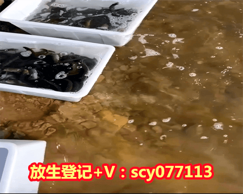 螃蟹能随便放生吗，病人不能随便吃水果