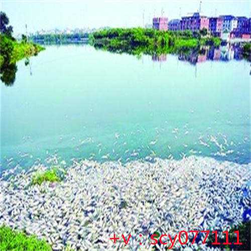 简易放生仪规宁德市内有放生河蟹的地方吗【宁德渝北放生】